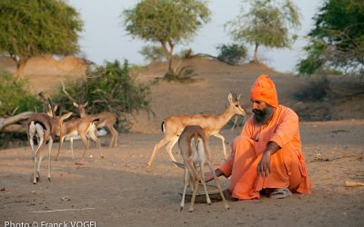 Rencontre avec Franck Vogel : Les Bishnoïs, un peuple au service de la nature